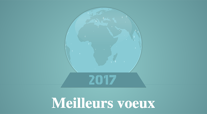 Bonne Année 2017