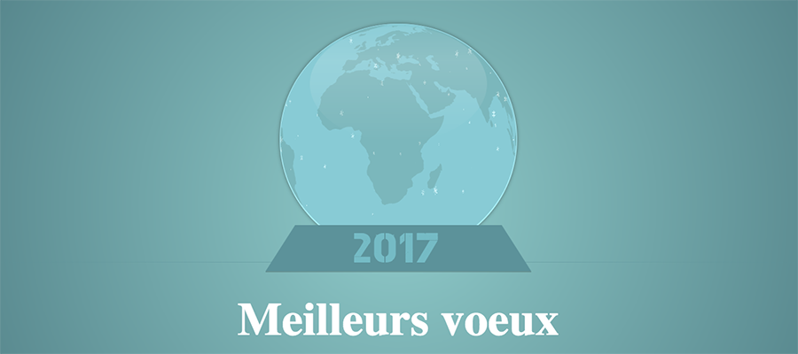 Bonne Année 2017